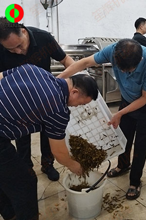 客戶(hù)來(lái)廠(chǎng)測(cè)試驗(yàn)貨果蔬清洗加工設(shè)備！